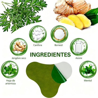 PARCHE HERBAL PARA DOLORES ARTICULARES